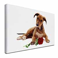 Lurcher Dog with Red Rose Canvas X-Large 30"x20" Wall Art Print