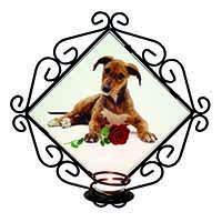 Lurcher Dog with Red Rose Wrought Iron Wall Art Candle Holder