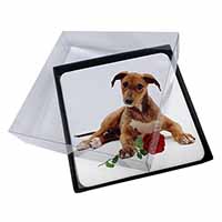 4x Lurcher Dog with Red Rose Picture Table Coasters Set in Gift Box