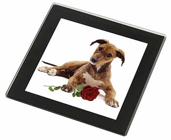 Lurcher Dog with Red Rose Black Rim High Quality Glass Coaster