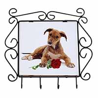 Lurcher Dog with Red Rose Wrought Iron Key Holder Hooks