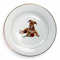 Lurcher Dog with Red Rose Gold Rim Plate Printed Full Colour in Gift Box