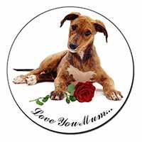 Lurcher with Rose 