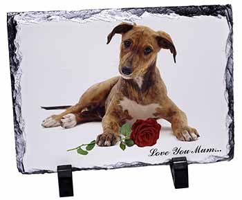 Lurcher with Rose 