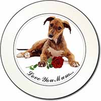 Lurcher with Rose 