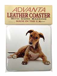 Lurcher Dog Single Leather Photo Coaster