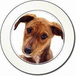 Lurcher Dog Car or Van Permit Holder/Tax Disc Holder