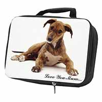 Lurcher Dog 
