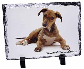 Lurcher Dog-With Love, Stunning Photo Slate