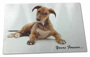 Large Glass Cutting Chopping Board Lurcher Dog 