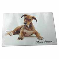 Large Glass Cutting Chopping Board Lurcher Dog 