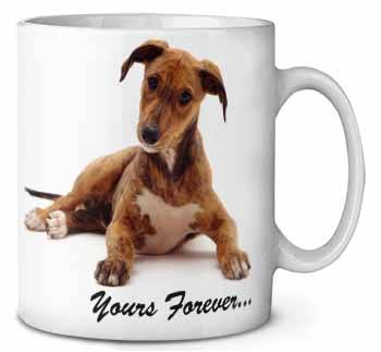 Lurcher Dog 