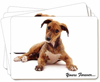 Lurcher Dog 