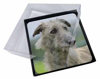 4x Rough Coated Lurcher Picture Table Coasters Set in Gift Box