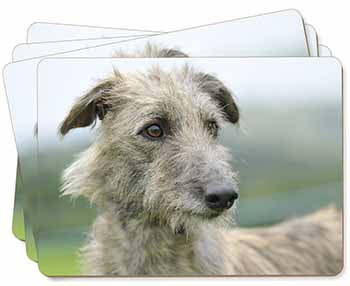 Rough Coated Lurcher Picture Placemats in Gift Box