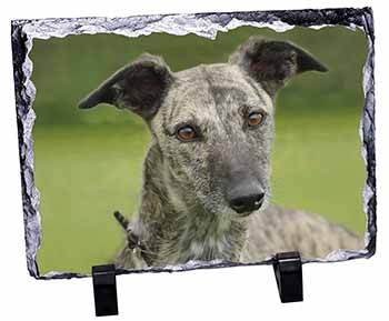 Lurcher Dog, Stunning Photo Slate
