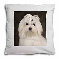 Maltese Dog Soft White Velvet Feel Scatter Cushion