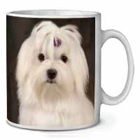 Maltese Dog Ceramic 10oz Coffee Mug/Tea Cup