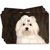 Maltese Dog Picture Placemats in Gift Box