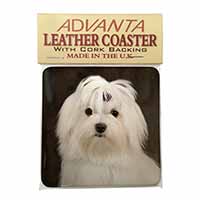 Maltese Dog Single Leather Photo Coaster