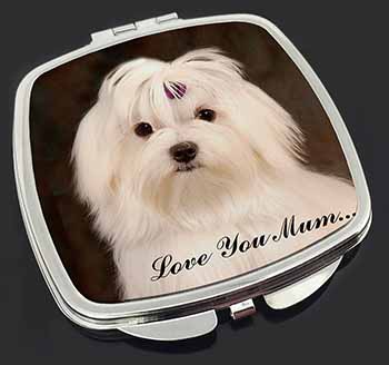 Maltese Dog 