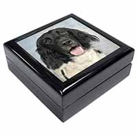 Munsterlander Dog Keepsake/Jewellery Box - Advanta Group®