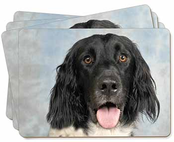 Munsterlander Dog Picture Placemats in Gift Box