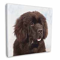 Newfoundland Dog Square Canvas 12"x12" Wall Art Picture Print