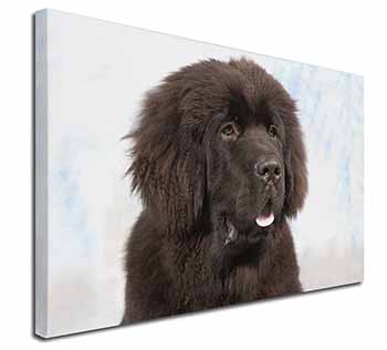 Newfoundland Dog Canvas X-Large 30"x20" Wall Art Print