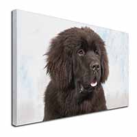 Newfoundland Dog Canvas X-Large 30"x20" Wall Art Print