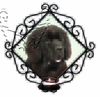 Newfoundland Dog Wrought Iron Wall Art Candle Holder