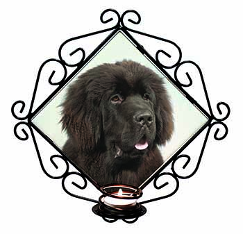 Newfoundland Dog Wrought Iron Wall Art Candle Holder