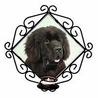 Newfoundland Dog Wrought Iron Wall Art Candle Holder