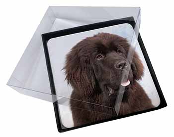 4x Newfoundland Dog Picture Table Coasters Set in Gift Box