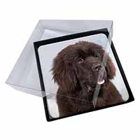 4x Newfoundland Dog Picture Table Coasters Set in Gift Box