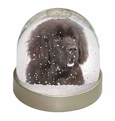 Newfoundland Dog Snow Globe Photo Waterball