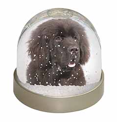 Newfoundland Dog Photo Snow Globe Waterball