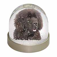 Newfoundland Dog Snow Globe Photo Waterball