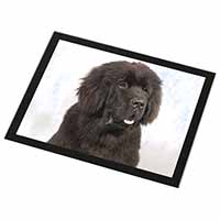 Newfoundland Dog Black Rim High Quality Glass Placemat