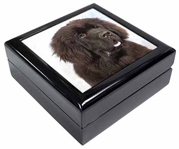 Newfoundland Dog Keepsake/Jewellery Box