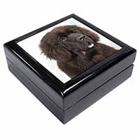 Newfoundland Dog Keepsake/Jewellery Box