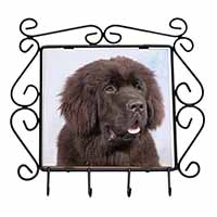 Newfoundland Dog Wrought Iron Key Holder Hooks