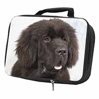 Newfoundland Dog Black Insulated School Lunch Box/Picnic Bag
