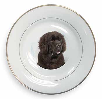 Newfoundland Dog Gold Rim Plate Printed Full Colour in Gift Box