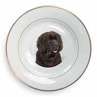 Newfoundland Dog Gold Rim Plate Printed Full Colour in Gift Box