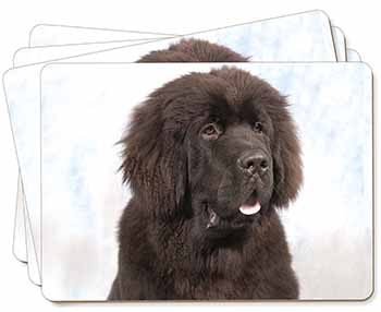 Newfoundland Dog Picture Placemats in Gift Box