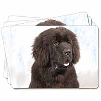 Newfoundland Dog Picture Placemats in Gift Box