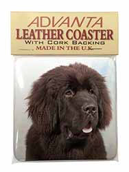 Newfoundland Dog Single Leather Photo Coaster
