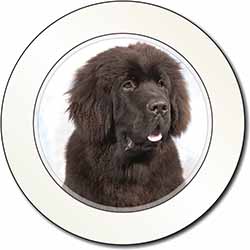 Newfoundland Dog Car or Van Permit Holder/Tax Disc Holder