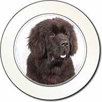 Newfoundland Dog Car or Van Permit Holder/Tax Disc Holder